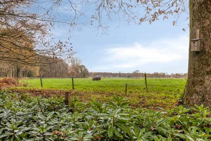 Foto 50 van Vijverweg 1