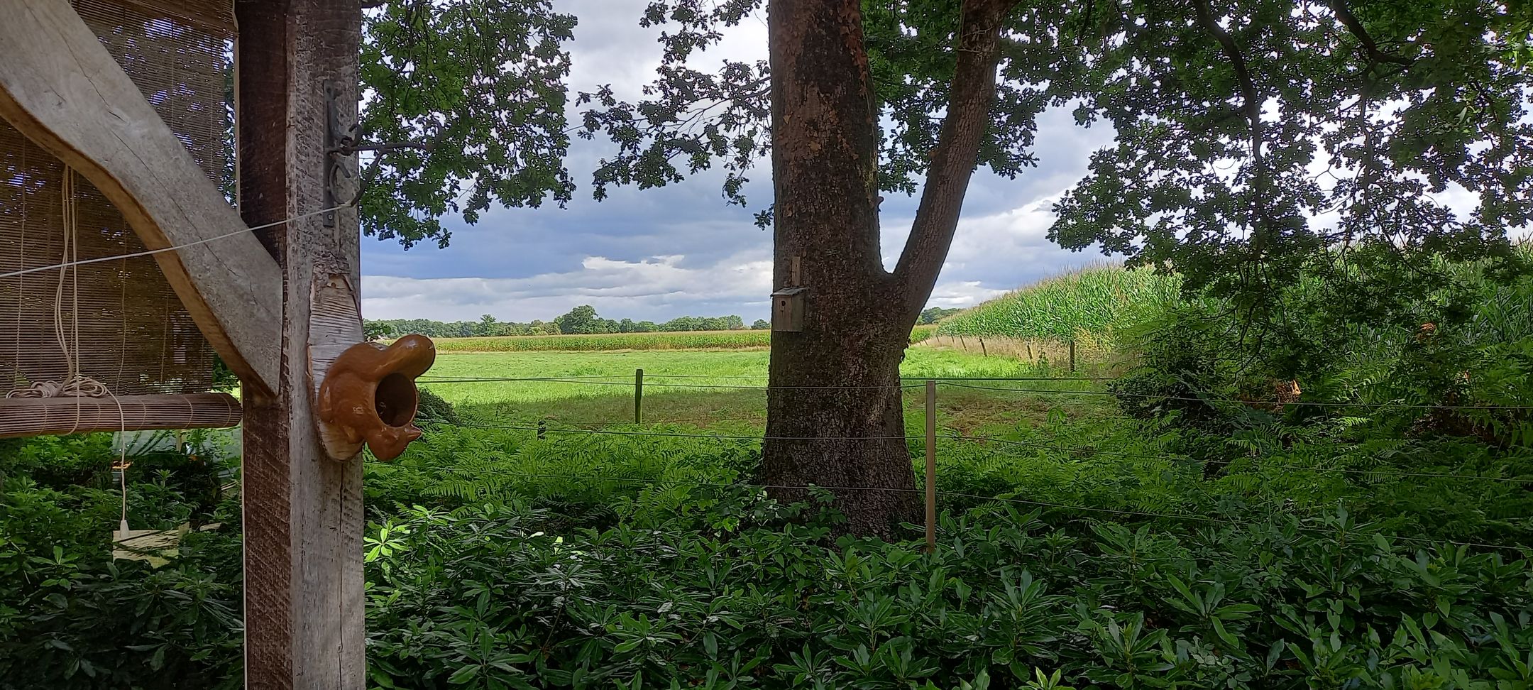 Photo 51 of Vijverweg 1