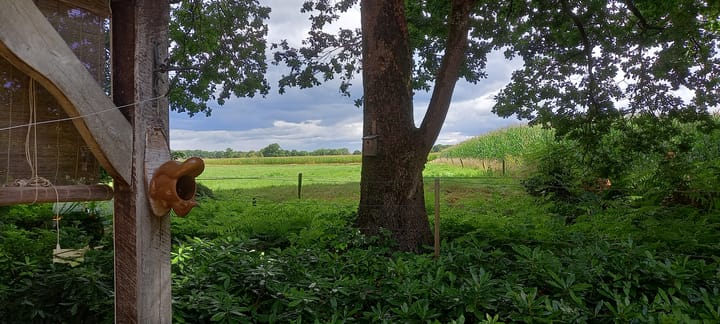 Foto 51 van Vijverweg 1