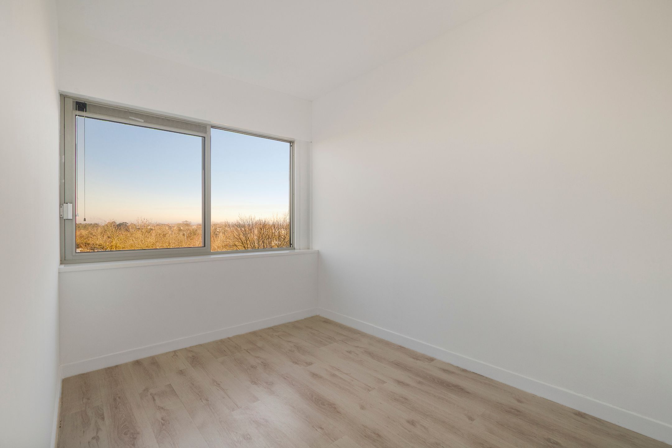 Foto 15 van Boeierstraat 189