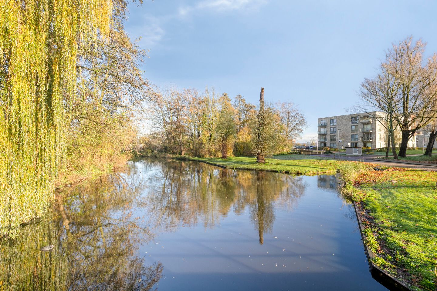 Foto 19 van Boeierstraat 189