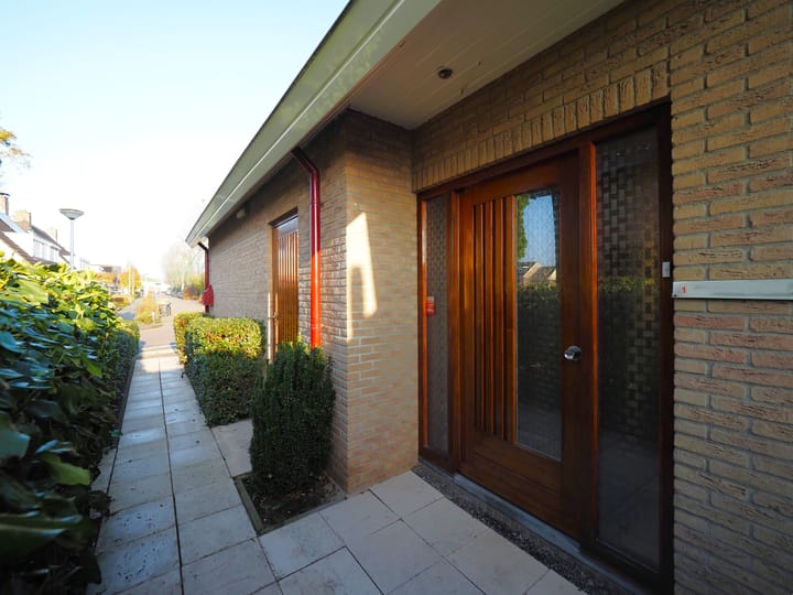 Photo 6 of Waterlelie 1