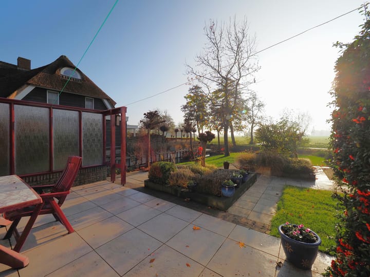 Photo 31 of Waterlelie 1