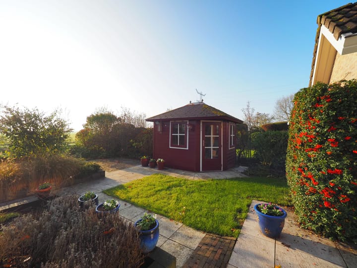 Photo 32 of Waterlelie 1