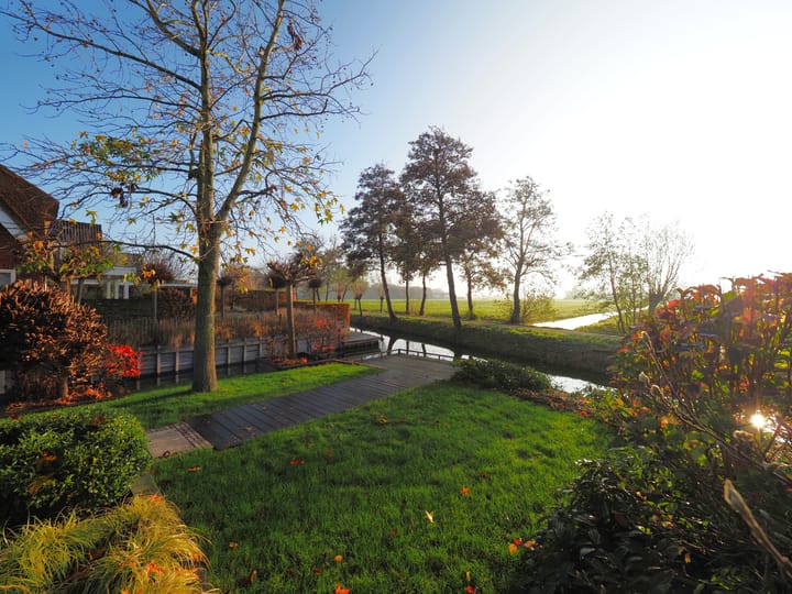 Photo 34 of Waterlelie 1