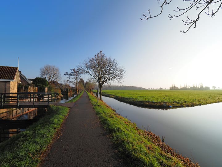 Photo 36 of Waterlelie 1