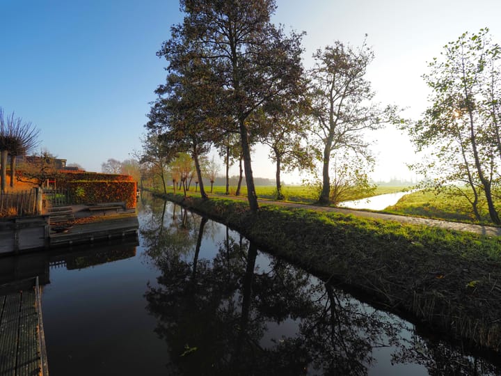 Photo 37 of Waterlelie 1