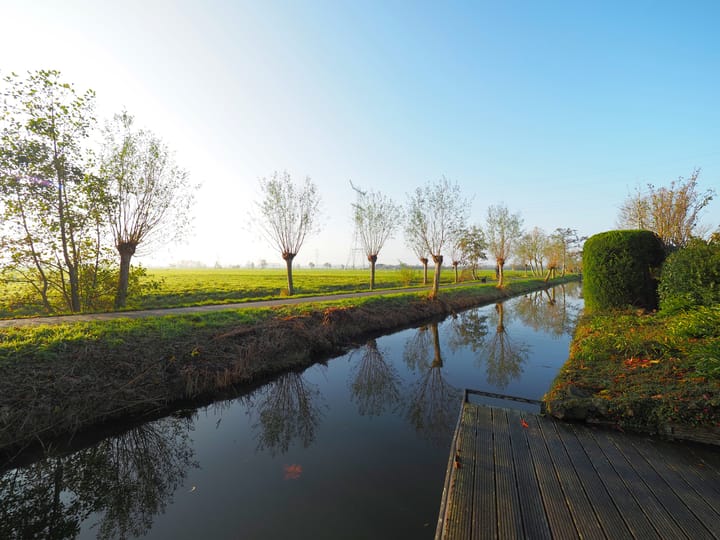 Photo 38 of Waterlelie 1