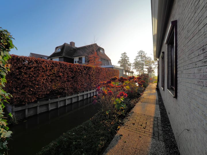 Photo 39 of Waterlelie 1