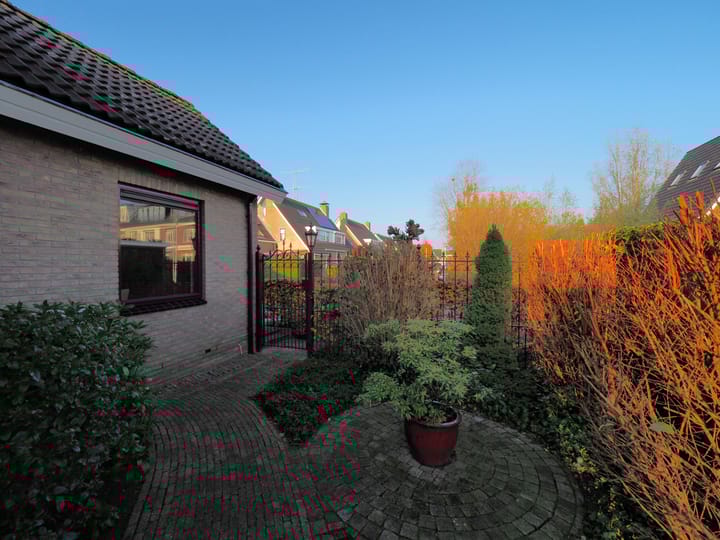 Photo 42 of Waterlelie 1