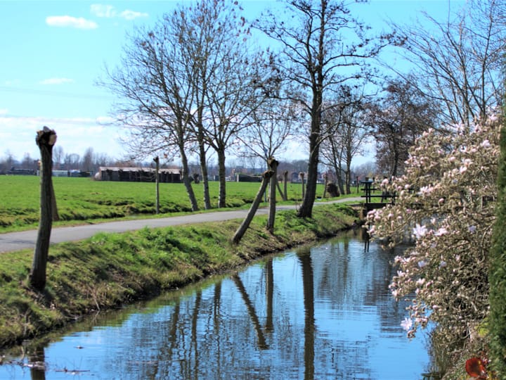 Photo 59 of Waterlelie 1