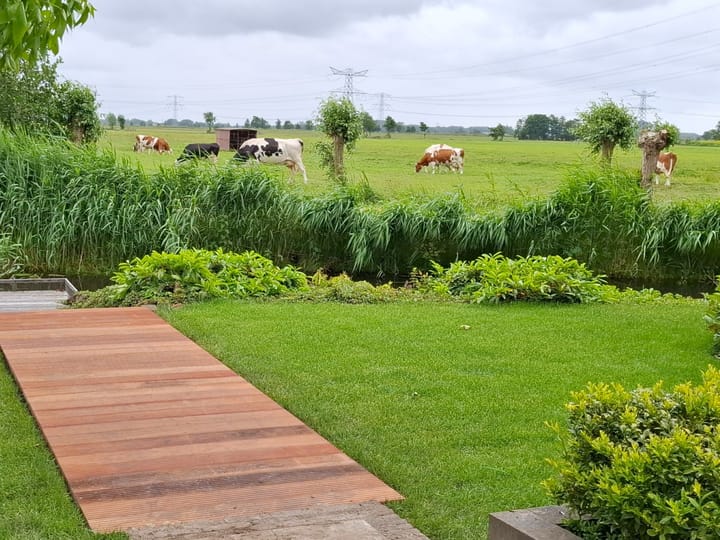 Photo 62 of Waterlelie 1