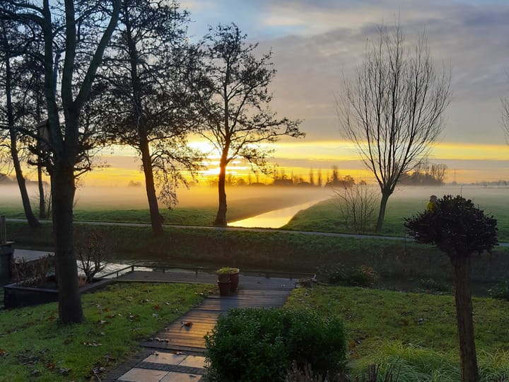 Photo 64 of Waterlelie 1