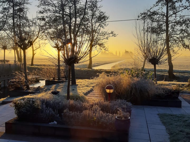 Photo 65 of Waterlelie 1