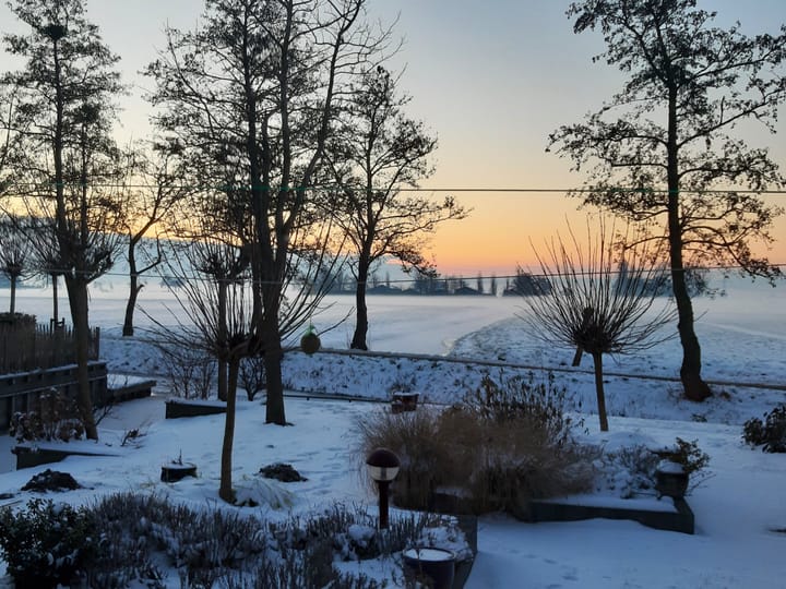 Photo 67 of Waterlelie 1