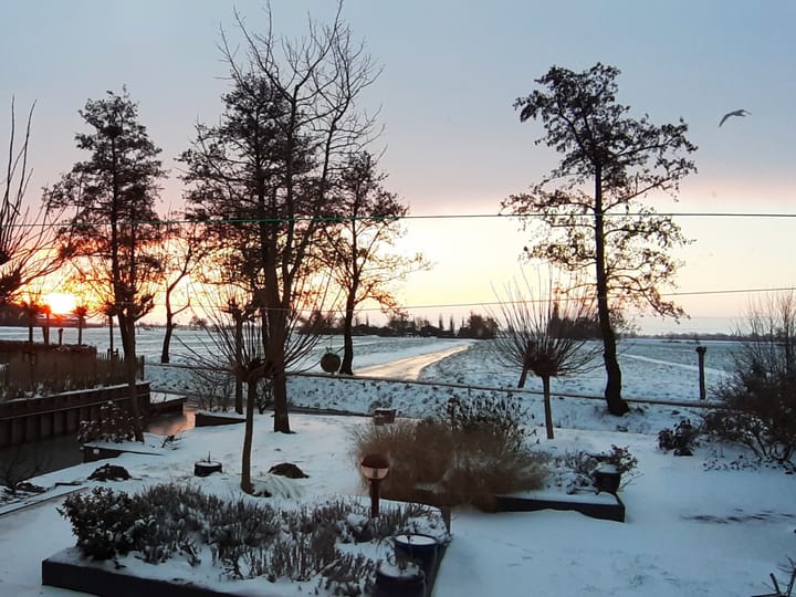 Photo 68 of Waterlelie 1