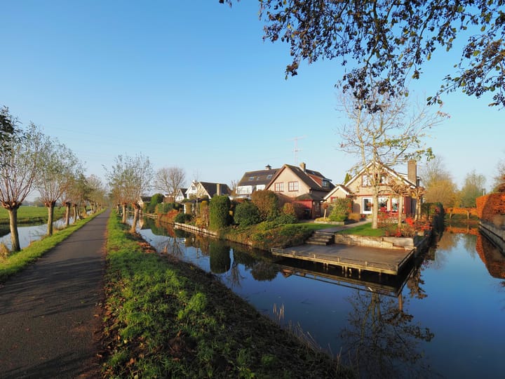 Photo 70 of Waterlelie 1