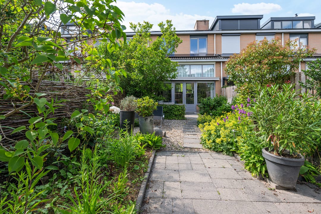 Photo 11 of Distelvlinderberm 98