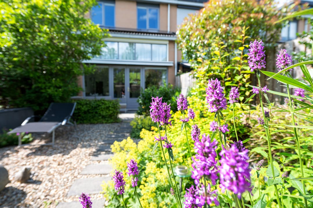 Photo 37 of Distelvlinderberm 98