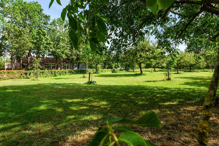 Foto 50 van Distelvlinderberm 98