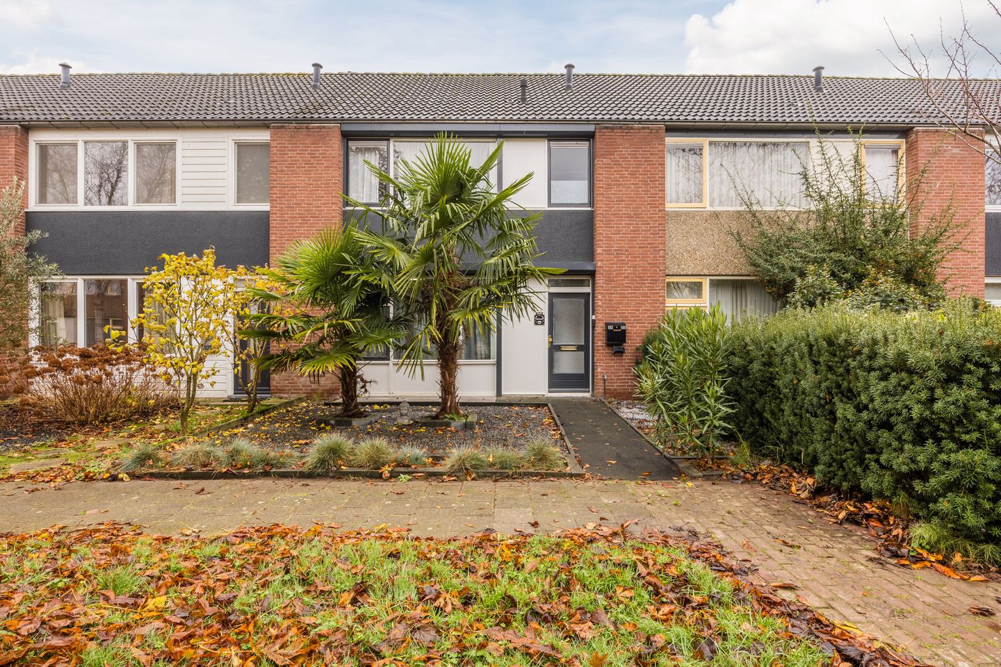 Foto 1 van Heilige Stoel 5931