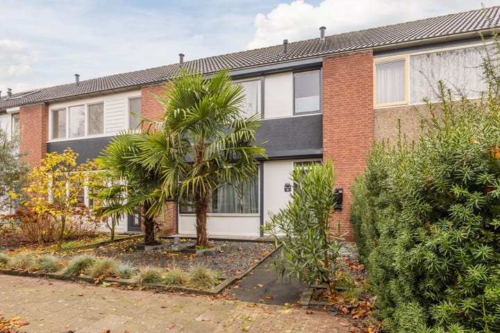 Foto 2 van Heilige Stoel 5931