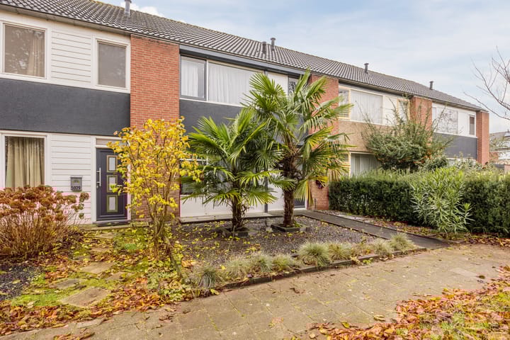 Foto 45 van Heilige Stoel 5931