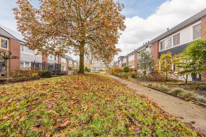 Foto 47 van Heilige Stoel 5931