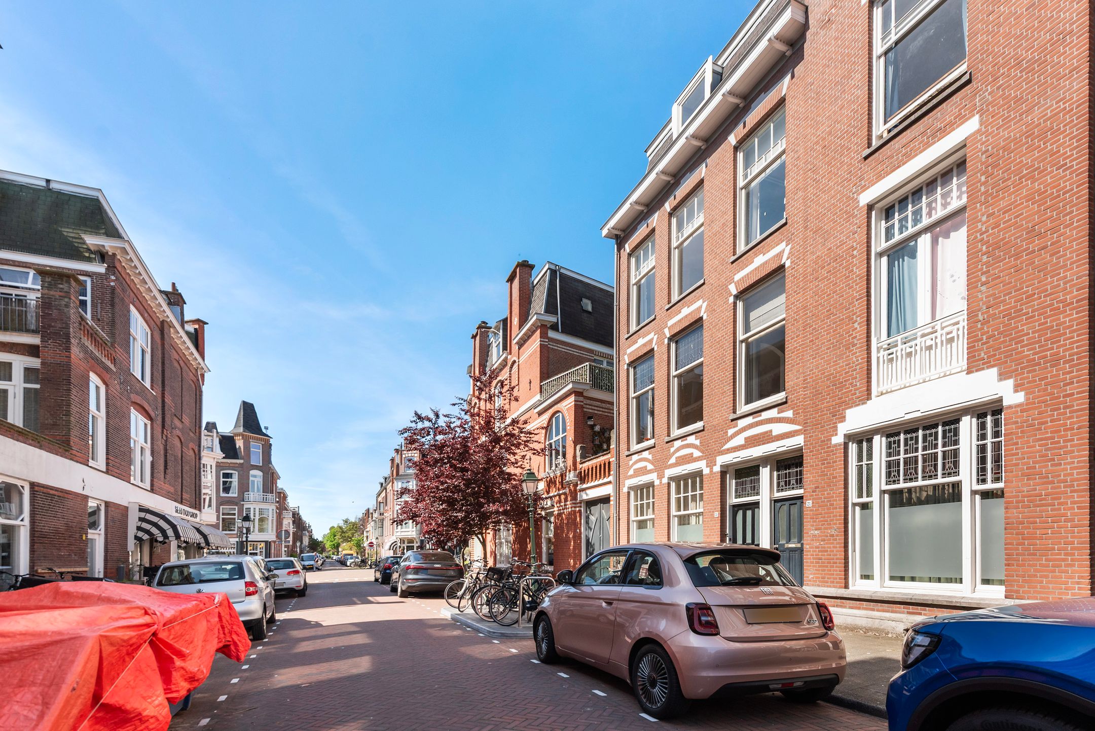 Photo 30 of Van Loostraat 21