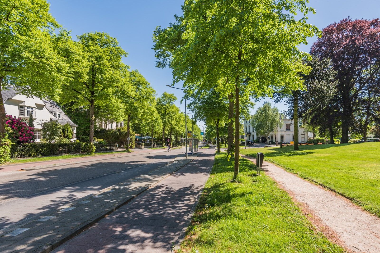 Foto 12 van Van der Lindenlaan 53