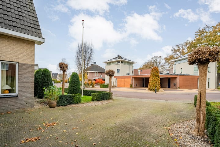 Photo 7 of Walstro 55