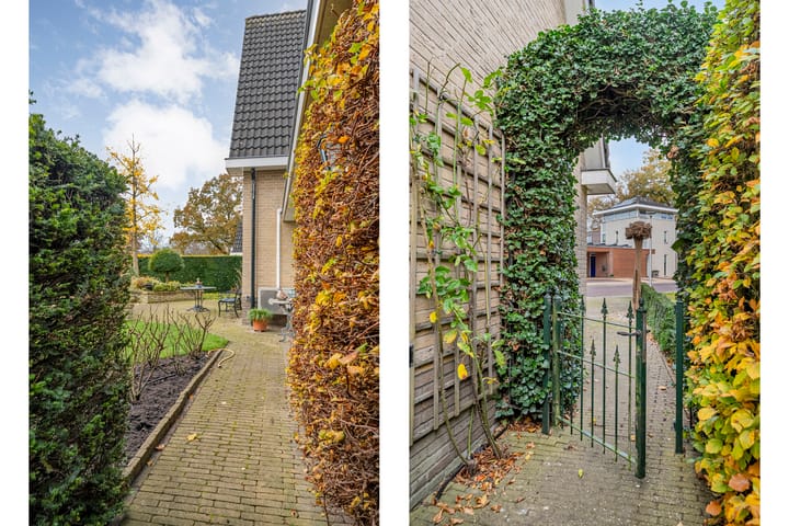 Photo 46 of Walstro 55