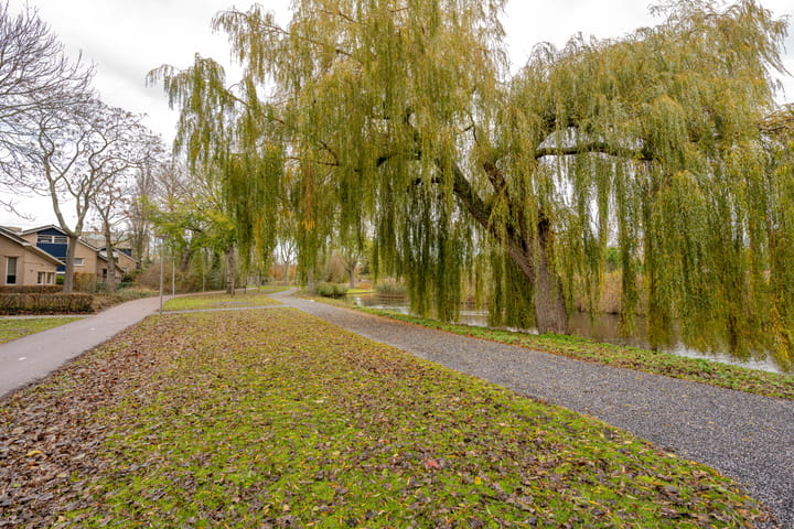 Photo 46 of Nederhorst 1