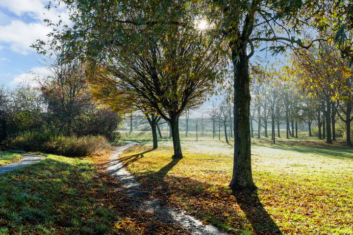 Foto 47 van Runderweide 3