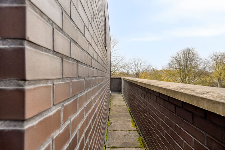 Foto 20 van Troelstralaan 253-D