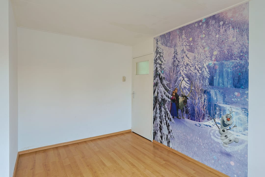 Foto 17 van Borrekuilstraat 155