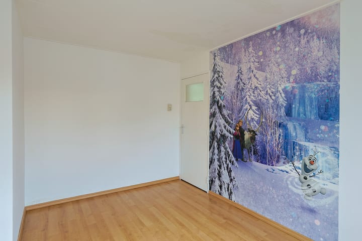 Foto 17 van Borrekuilstraat 155