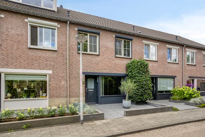 Photo 5 of Lijsterbes 5