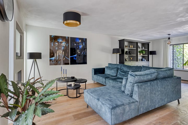 Photo 12 of Lijsterbes 5