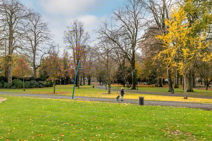 Photo 38 of Spoorstraat 12-A