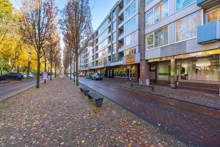 Photo 5 of Slotlaan 40-5