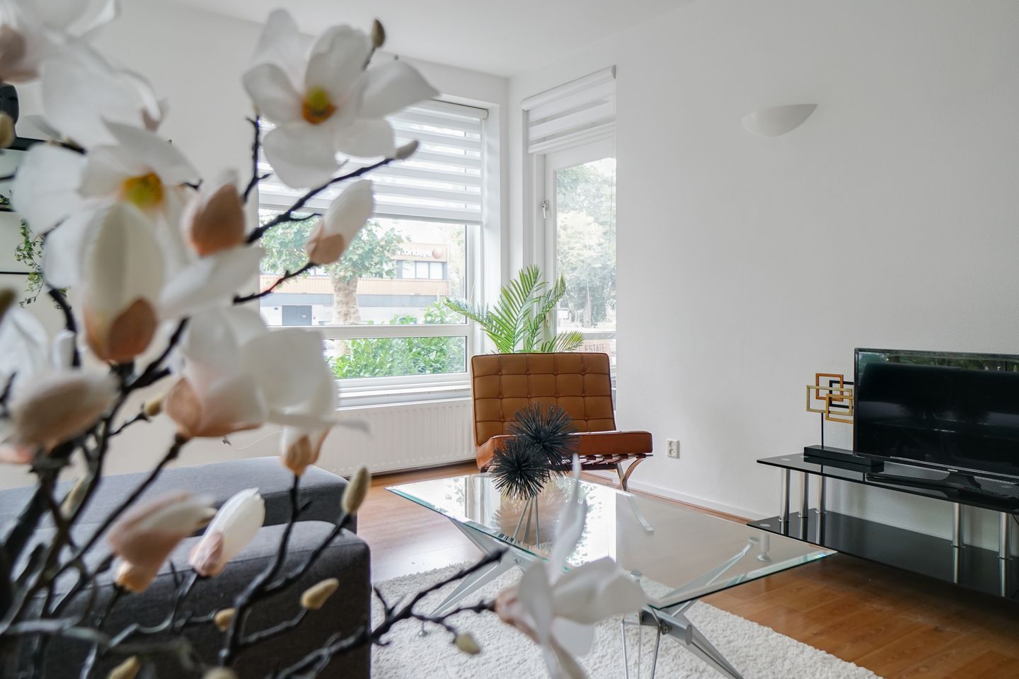 Foto 10 van Hengelolaan 1132