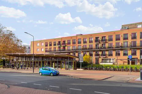 undefined main image