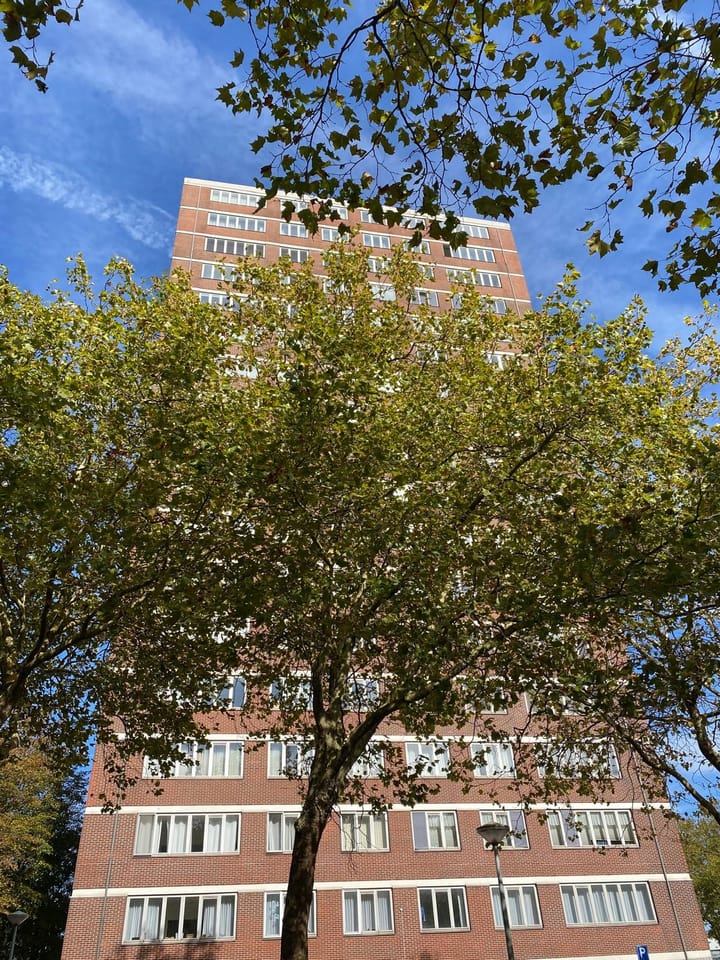 Foto 36 van Het Breed 911