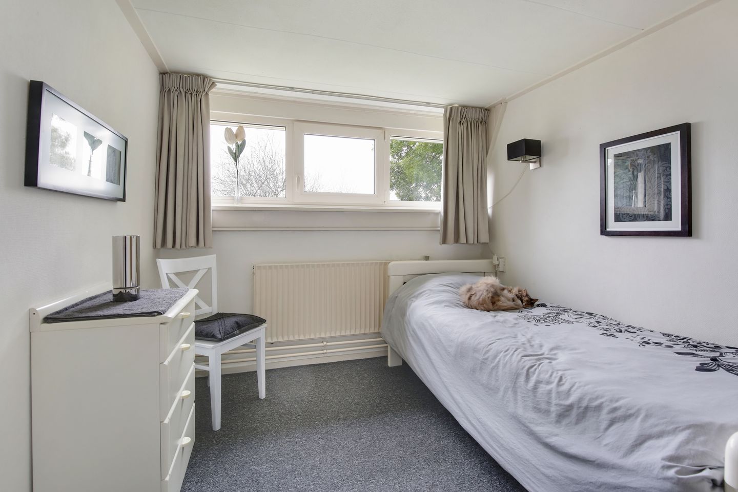 Foto 25 van Polder 38