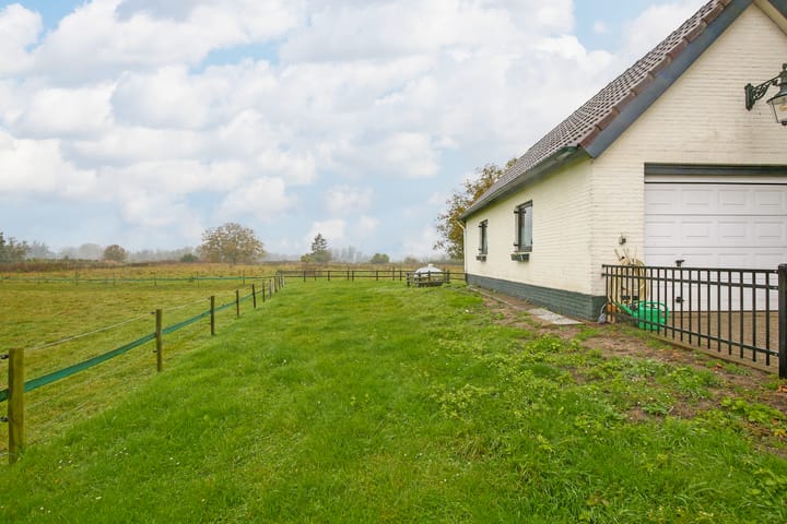 Photo 30 of Polder 38