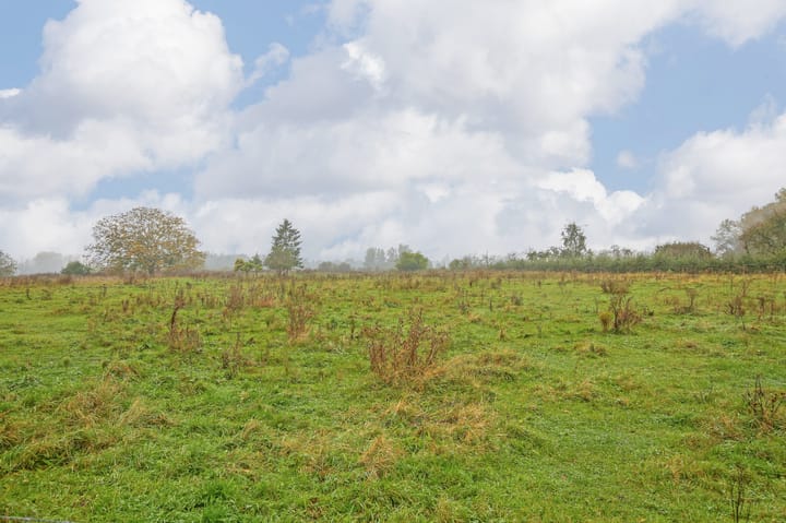 Photo 37 of Polder 38