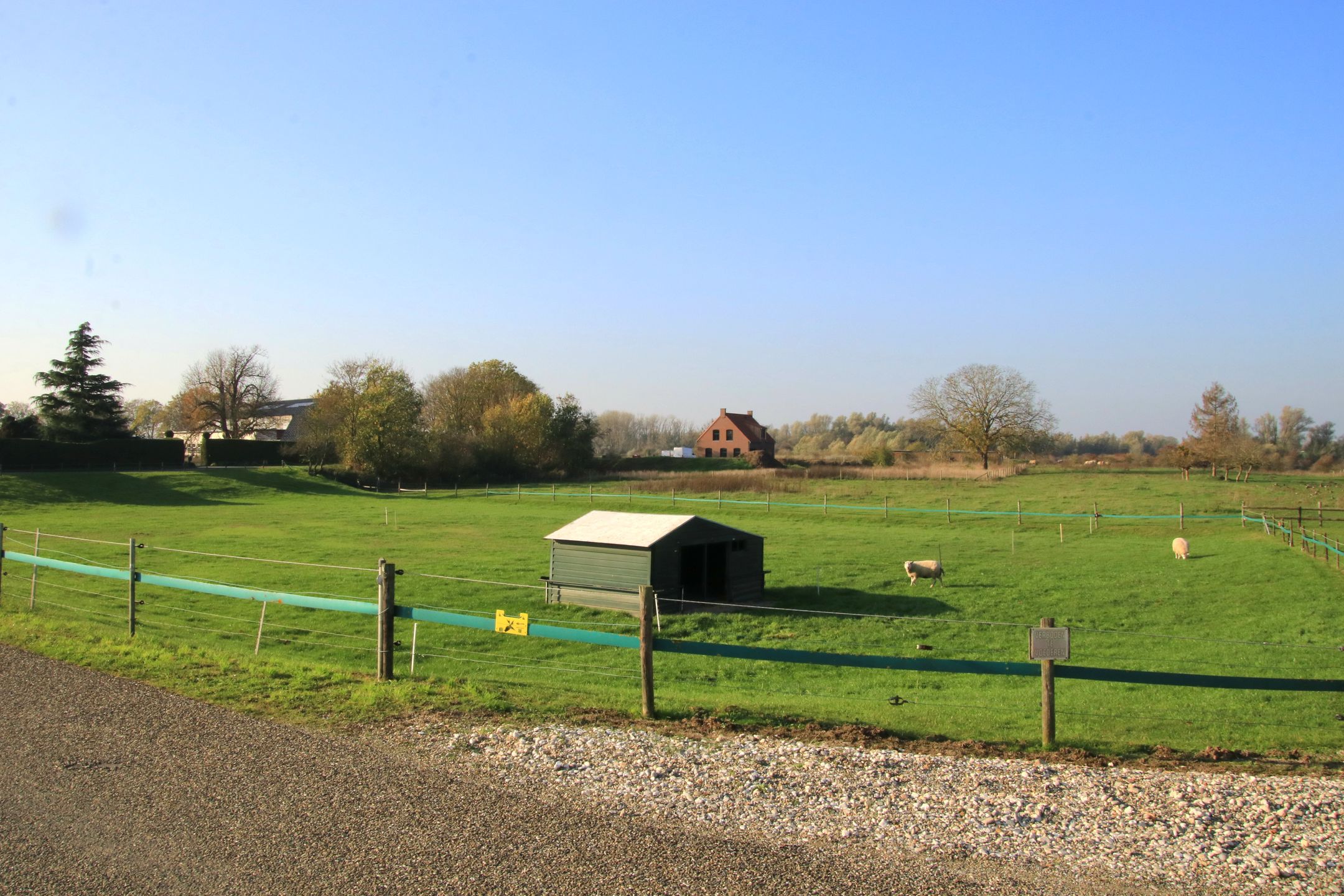 Foto 42 van Polder 38