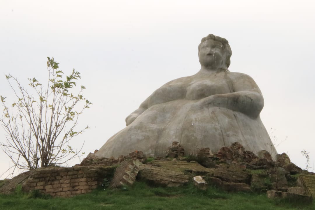 Foto 43 van Polder 38