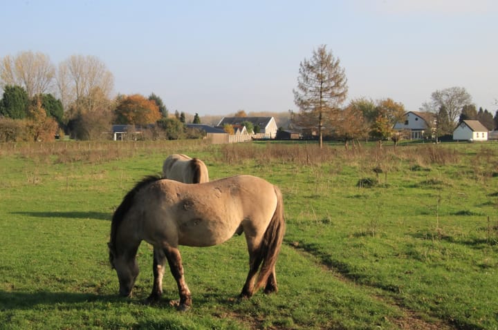 Photo 45 of Polder 38